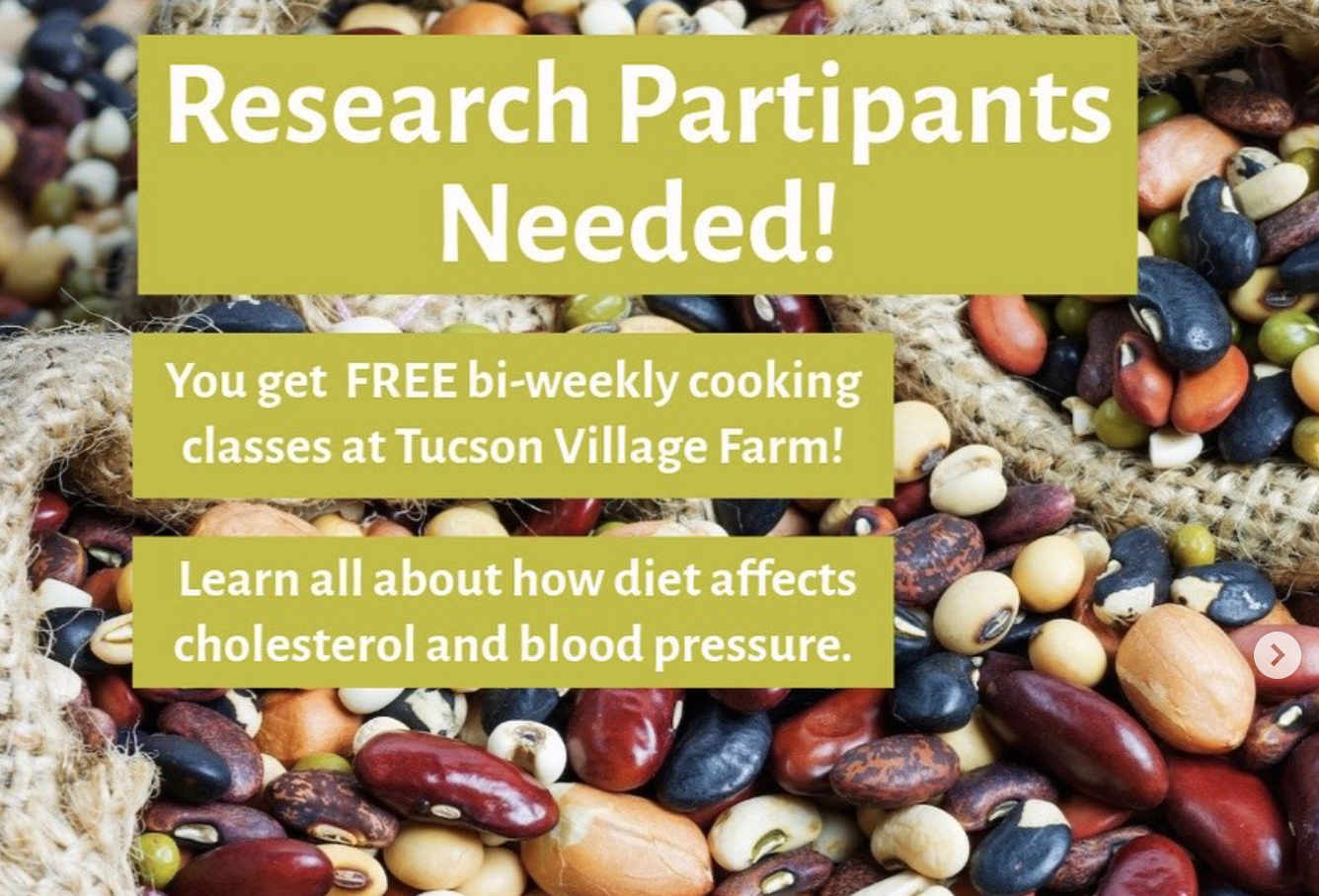 Tucson Village Farm seeking volunteers for “Cool Beans” research study