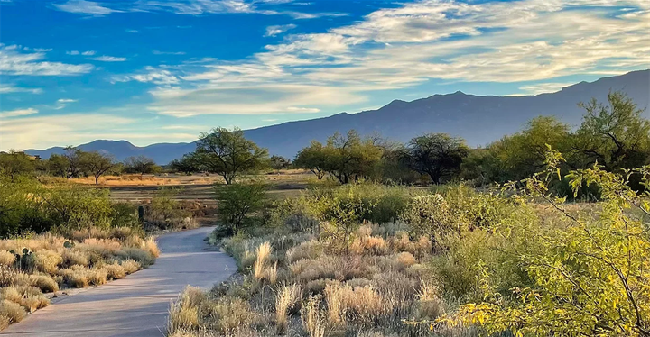 Upgrades in the works for Oro Valley’s Vistoso Trails