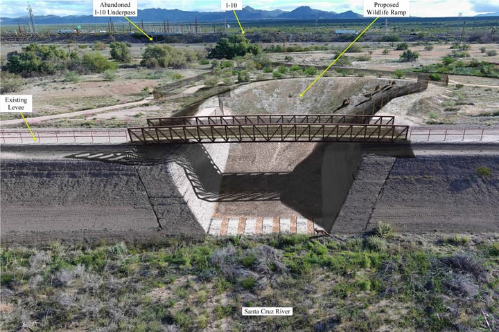 Pima County, Tucson officials move forward with wildlife protection plans