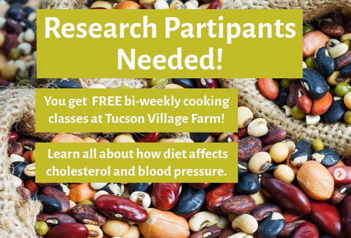 Tucson Village Farm seeking volunteers for “Cool Beans” research study