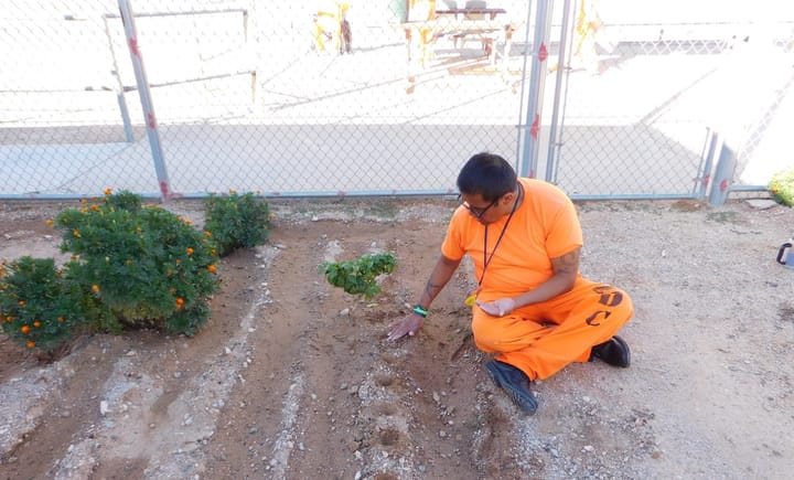 UA prison garden program pauses after federal grant ends